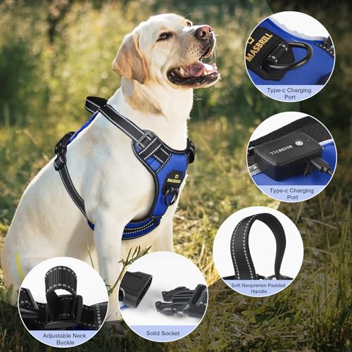 Lighted Dog Harness - Rechargeable LED