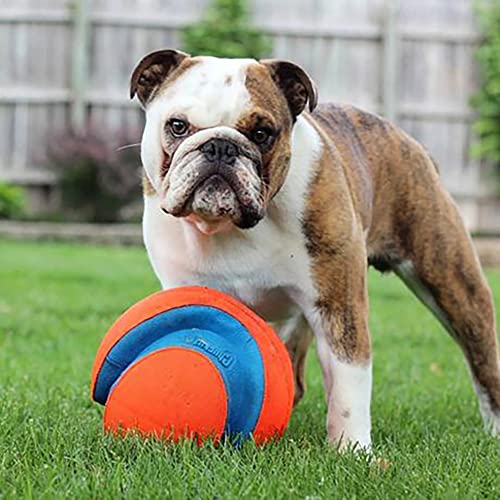 Kick Fetch Ball Dog Toy - Large