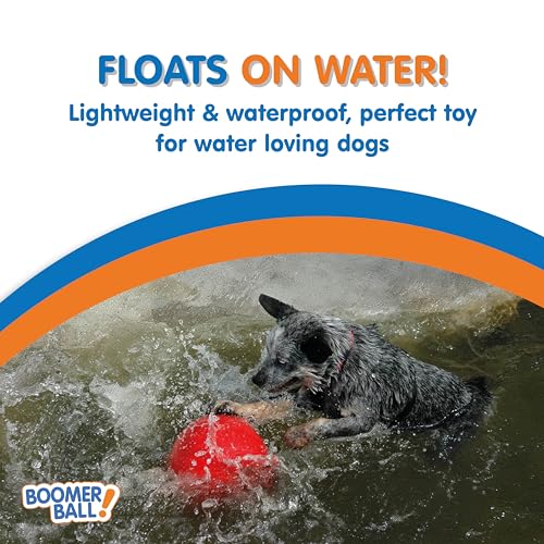 10" Indestructible Dog Ball - Boomer Ball