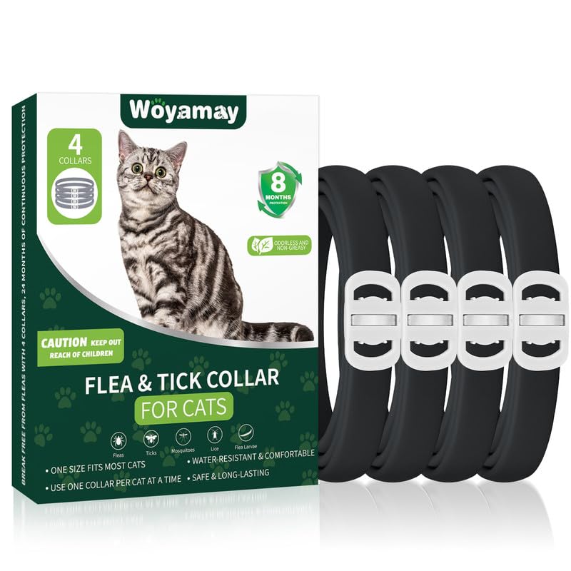 Flea and Tick Prevention for Cats