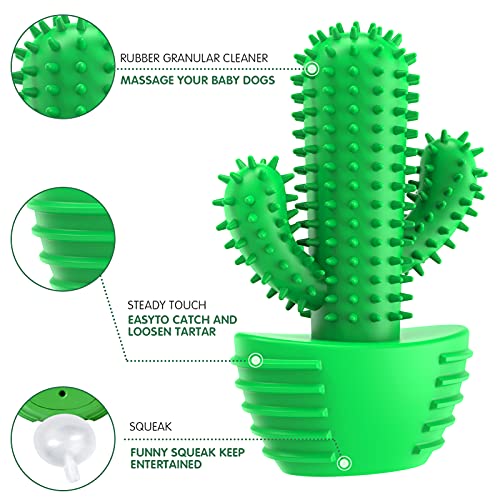 Dog Toothbrush Chew Toy - Tough Dental Stick