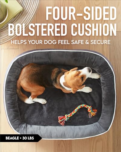 Orthopedic Dog Bed with Bolster Cushion - Gray
