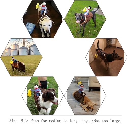 Cowboy Rider Dog Costume - Large