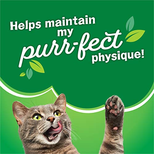 Friskies Dry Cat Food - Gravy Swirlers, 22 lb. Bag
