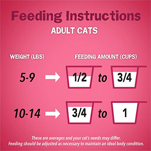 Friskies Dry Cat Food - Gravy Swirlers, 22 lb. Bag