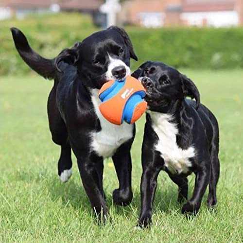 Kick Fetch Ball Dog Toy - Large