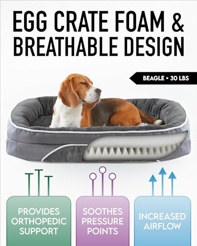 Orthopedic Dog Bed with Bolster Cushion - Gray