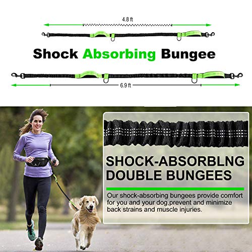 Hands-Free Running Dog Leash Set