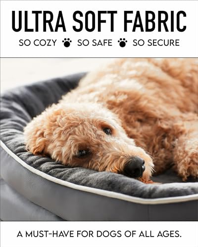 Orthopedic Dog Bed with Bolster Cushion - Gray