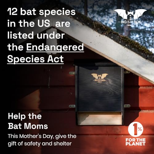Bat House Kit - Wooden Bat Box for Outdoors