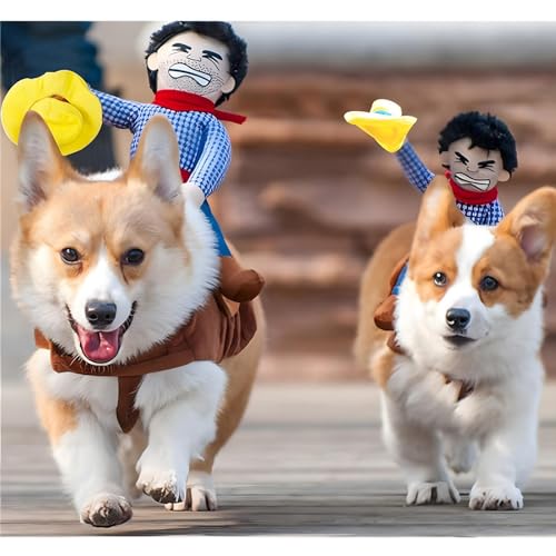Cowboy Rider Dog Costume - Large