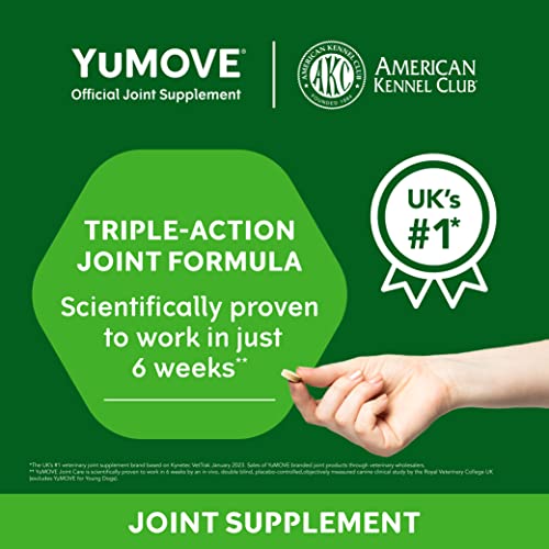 Hip and Joint Supplement for Dogs with Glucosamine, Hyaluronic Acid, Green Lipped Mussel