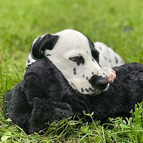 Snuggle Puppy Heartbeat Stuffed Toy