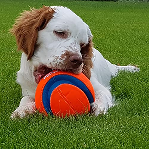 Kick Fetch Ball Dog Toy - Large