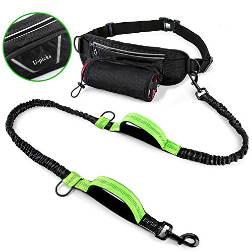 Hands-Free Running Dog Leash Set