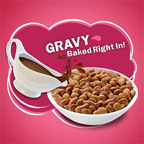 Friskies Dry Cat Food - Gravy Swirlers, 22 lb. Bag