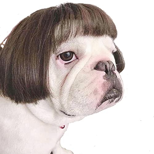 Funny Pet Cosplay Wig - Halloween & Parties
