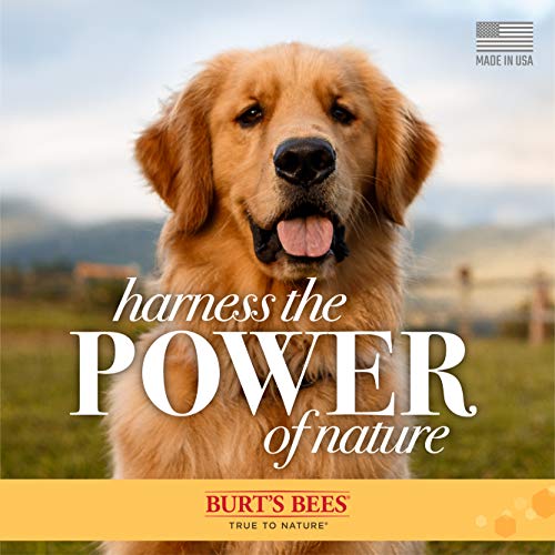 Waterless Dog Shampoo Spray - Apple & Honey