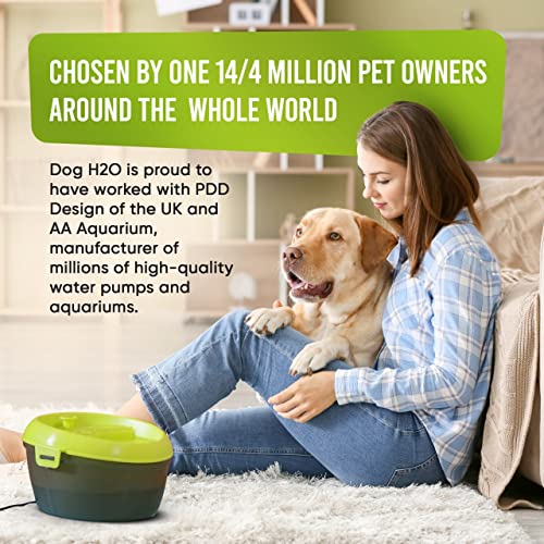 Large Dog Water Fountain - Automatic & Filtered