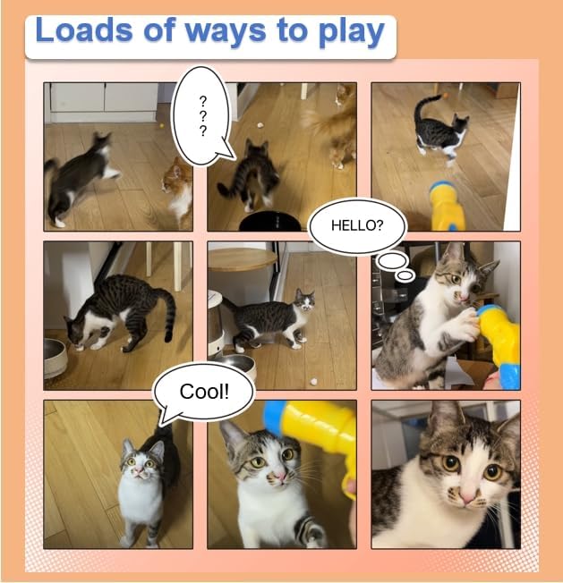 Interactive Cat Toy Launcher