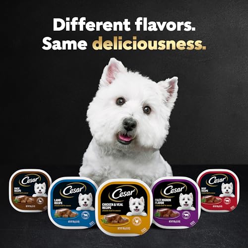 CESAR Wet Dog Food Variety Pack - 24 Trays