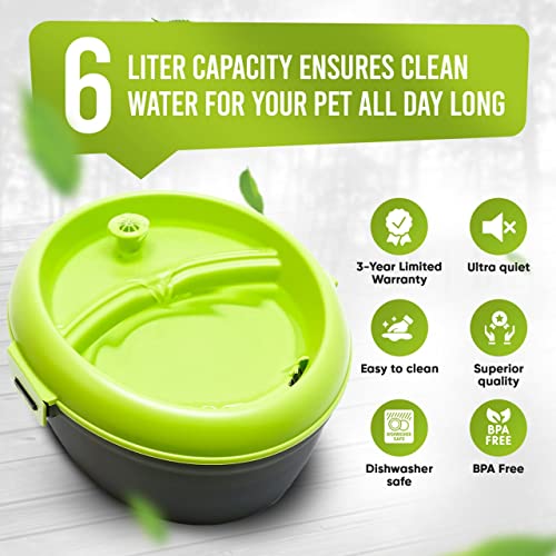Large Dog Water Fountain - Automatic & Filtered