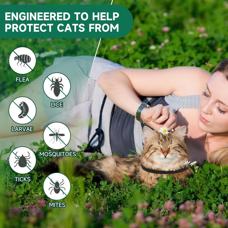 Flea and Tick Prevention for Cats