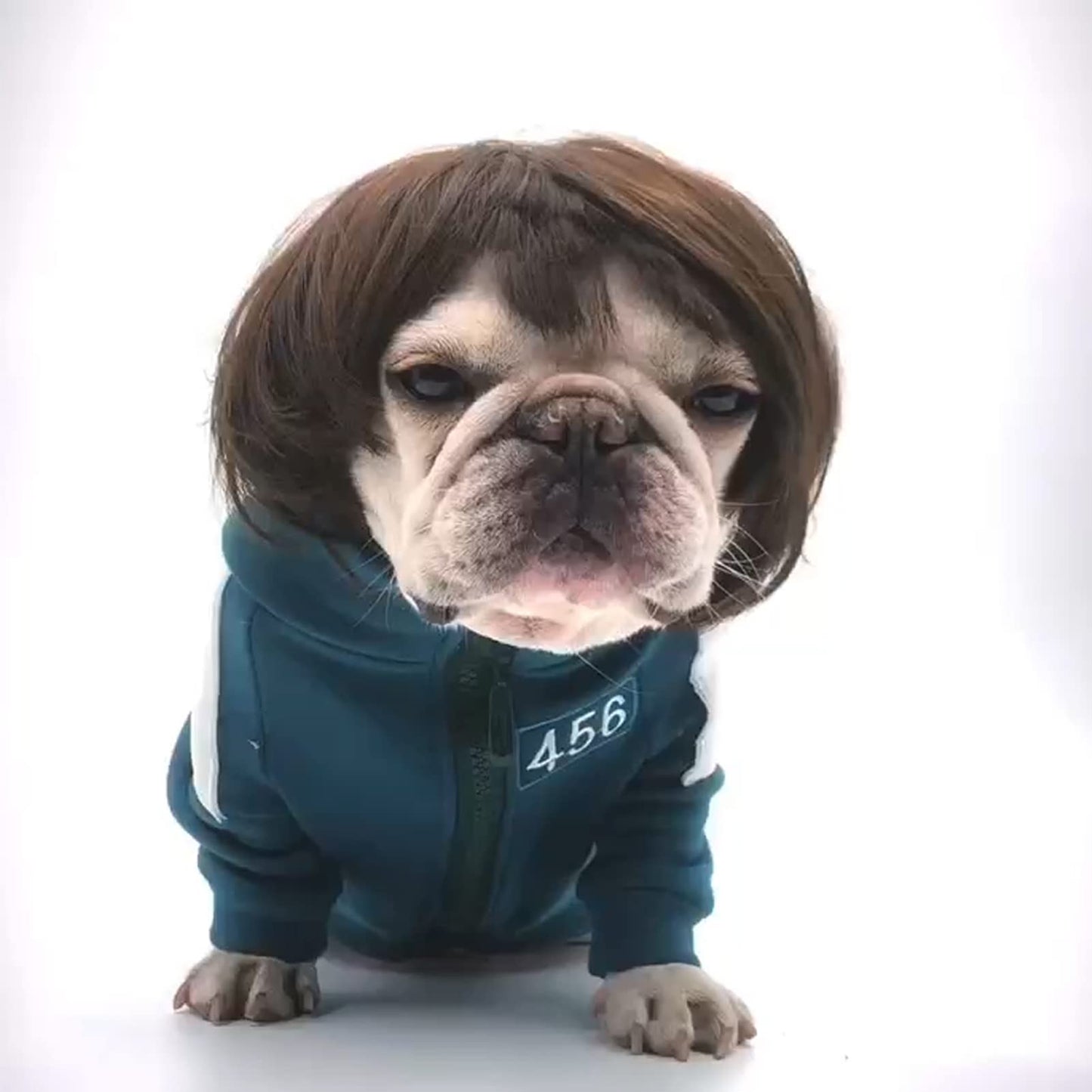 Funny Pet Cosplay Wig - Halloween & Parties