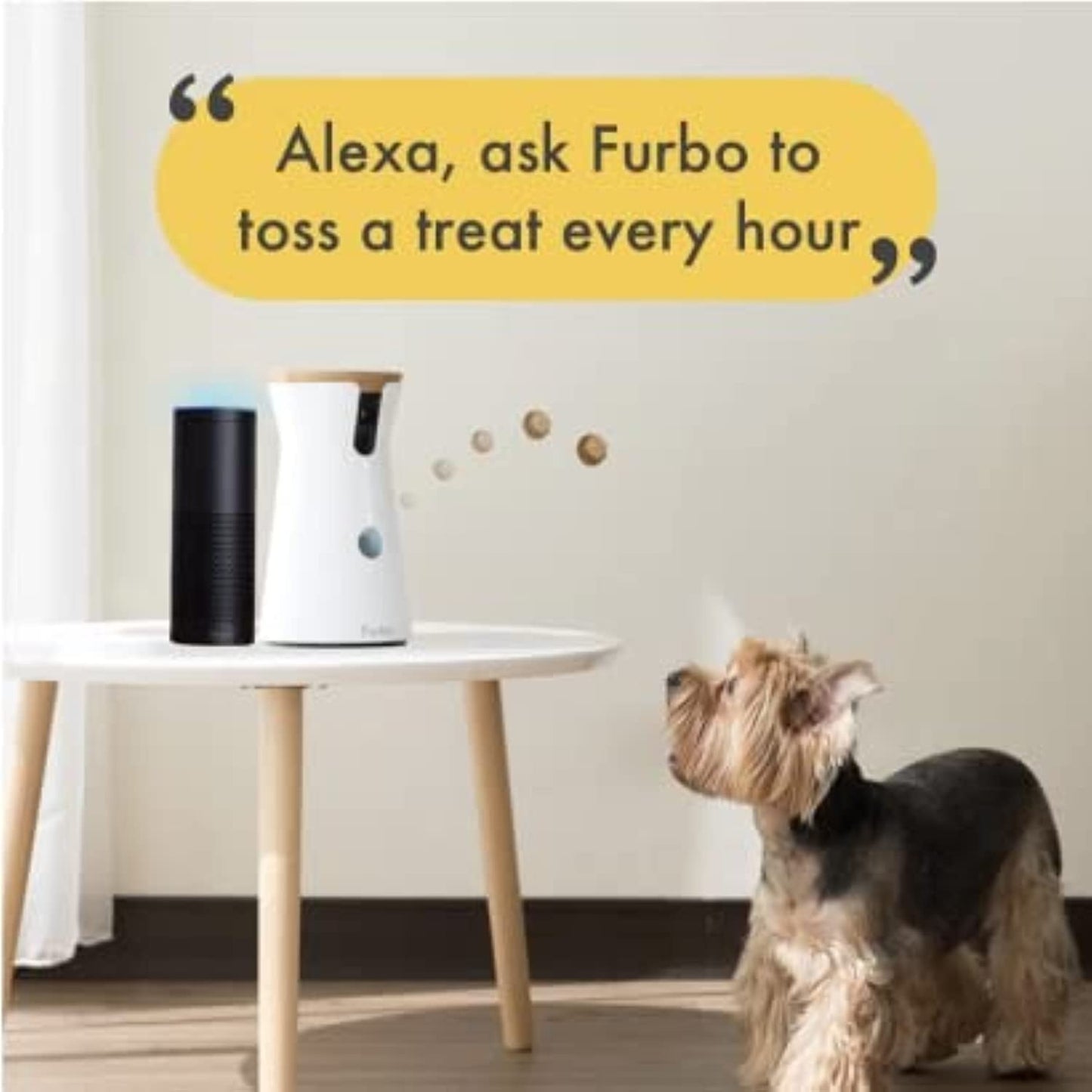 Furbo Dog Camera with Treat Tossing & 2-Way Audio