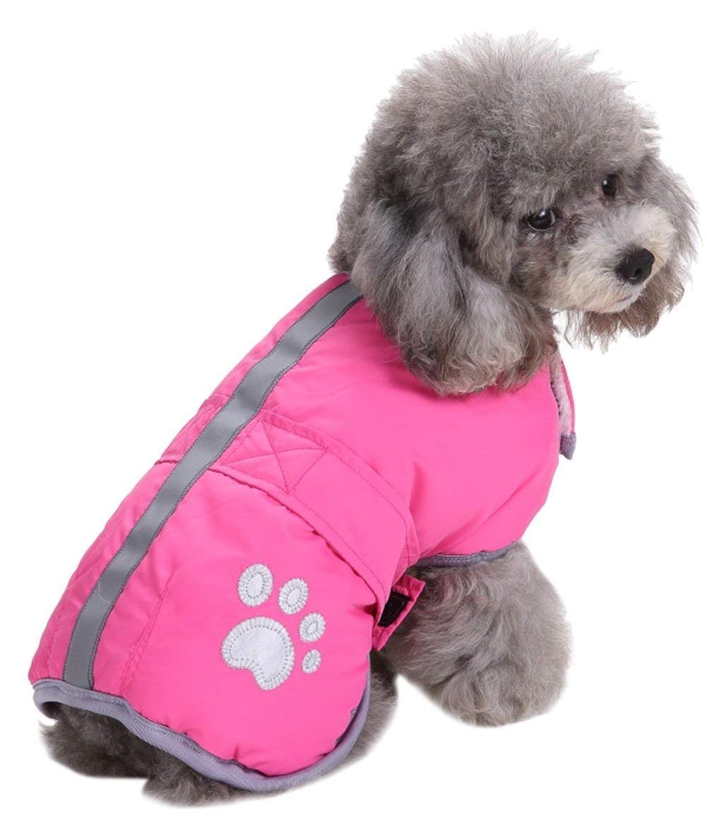 Cold Weather Dog Coat