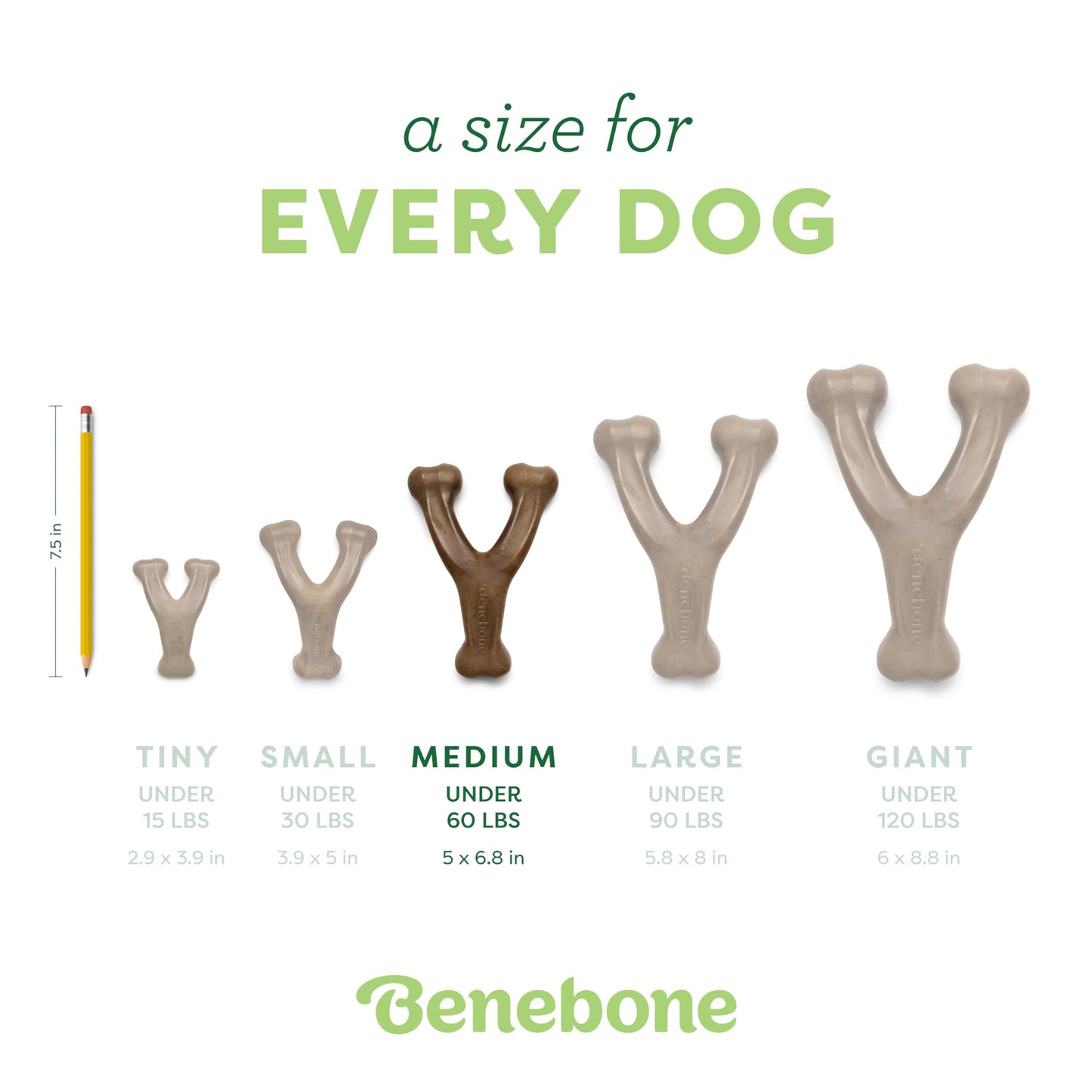 Durable Bacon-Flavored Dog Chew Toy