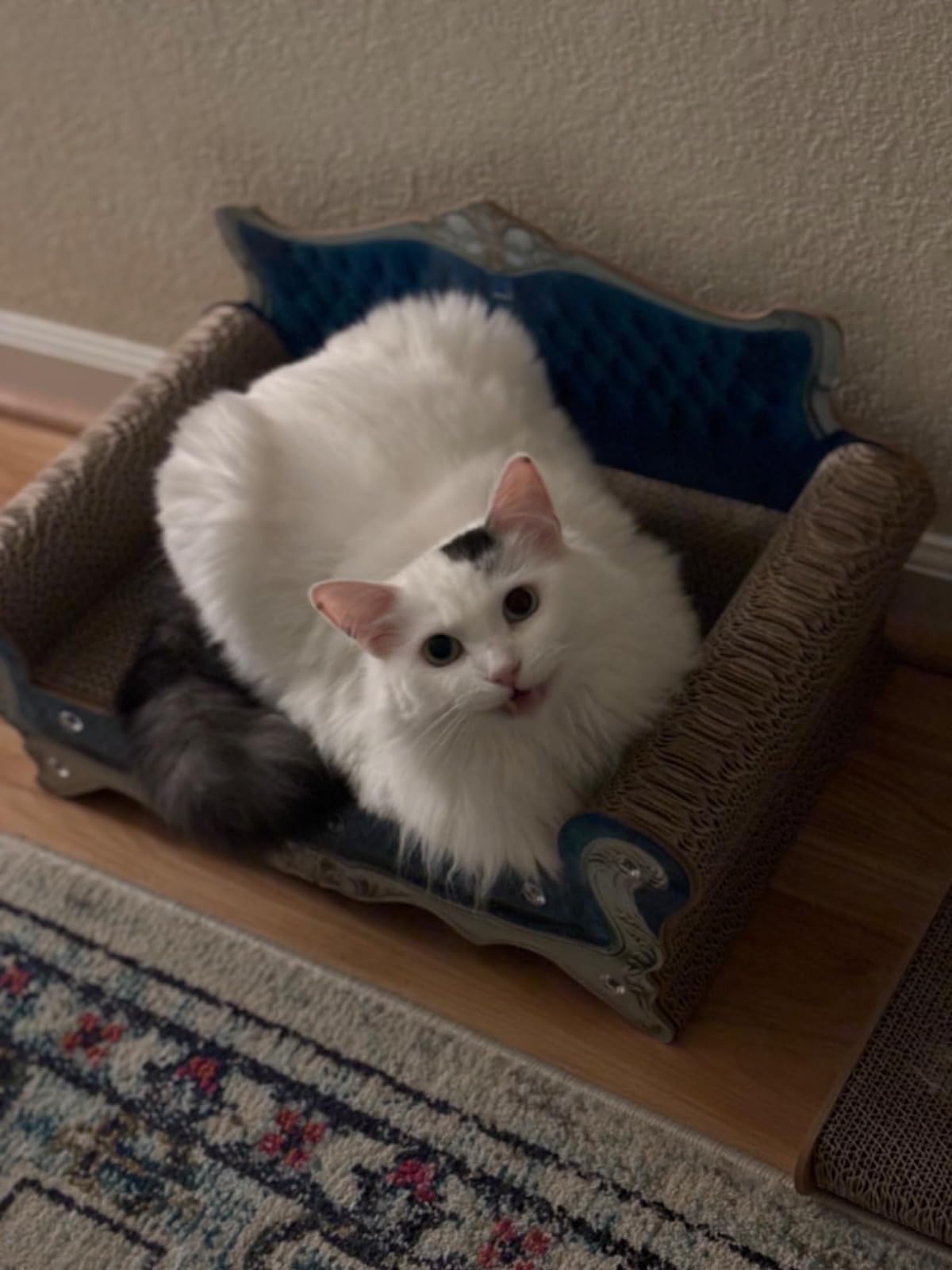 Luxury Cardboard Cat Scratcher Sofa