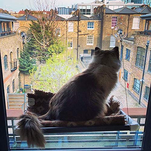 Cat Perch