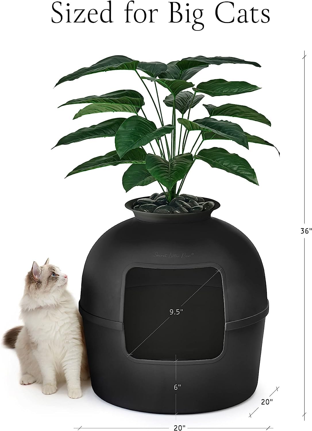 Hidden Litter Box Enclosure - Odor Control, Matte Black