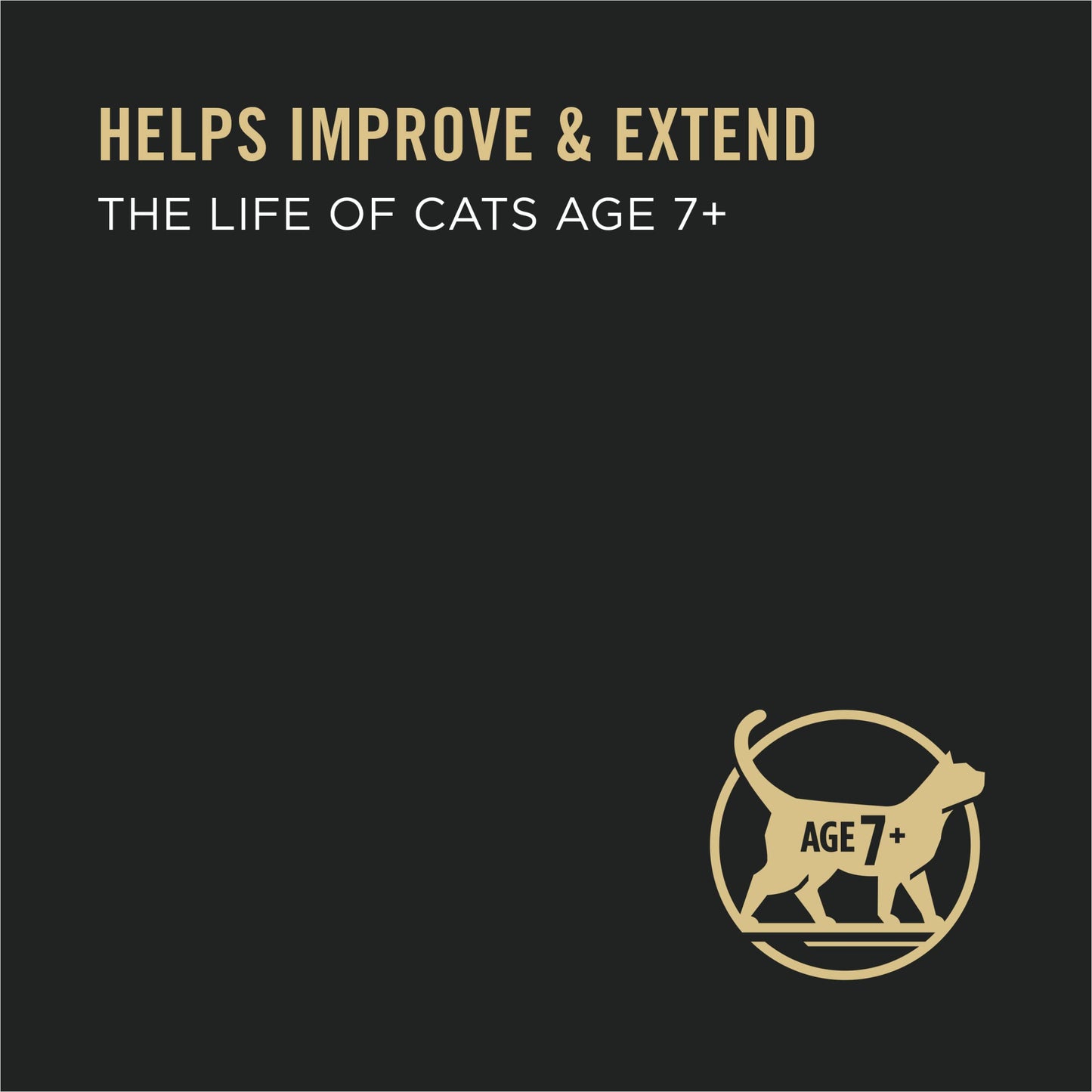 Senior Cat Wet Food Variety Pack Pate