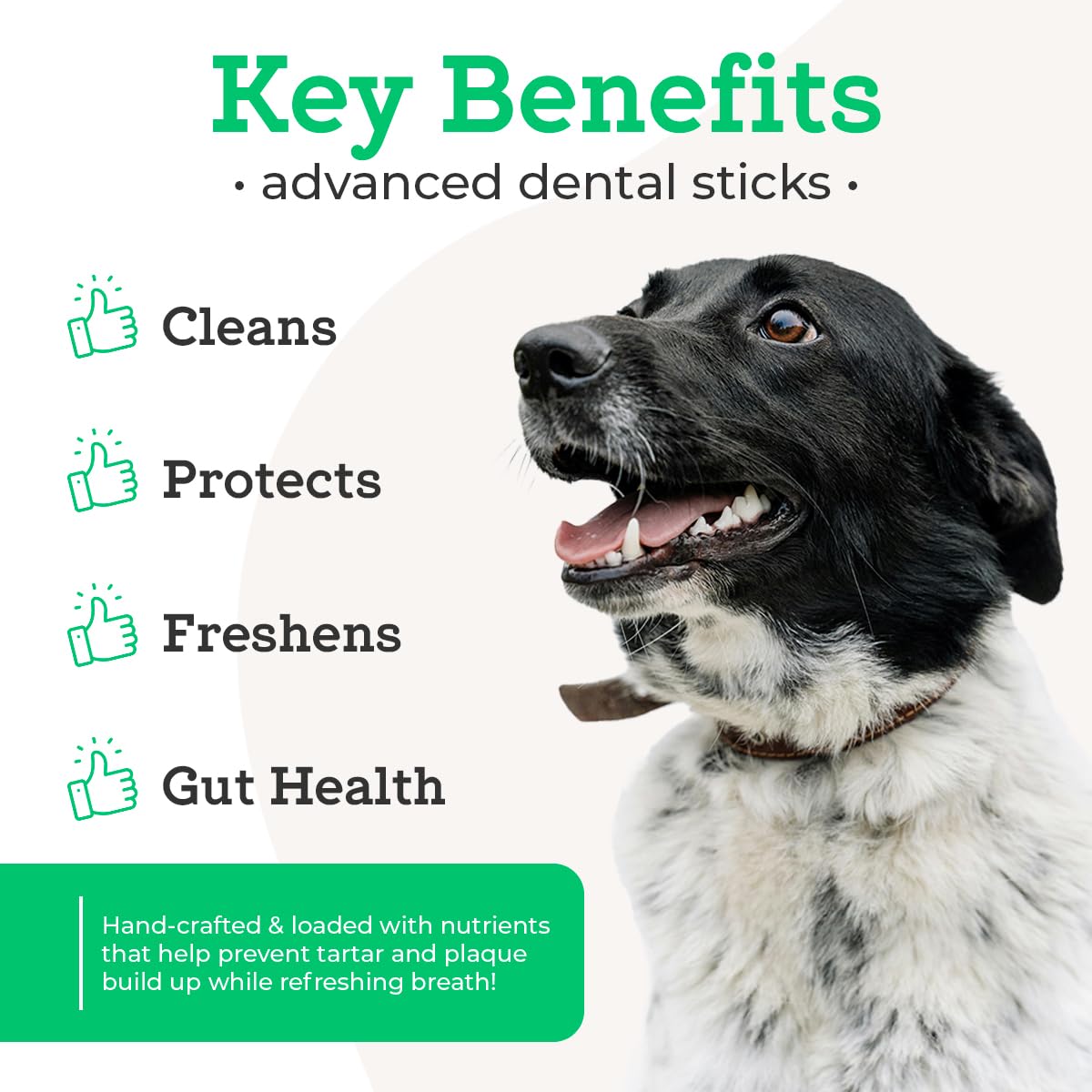 Complete Advanced Dental Sticks with Prebiotics