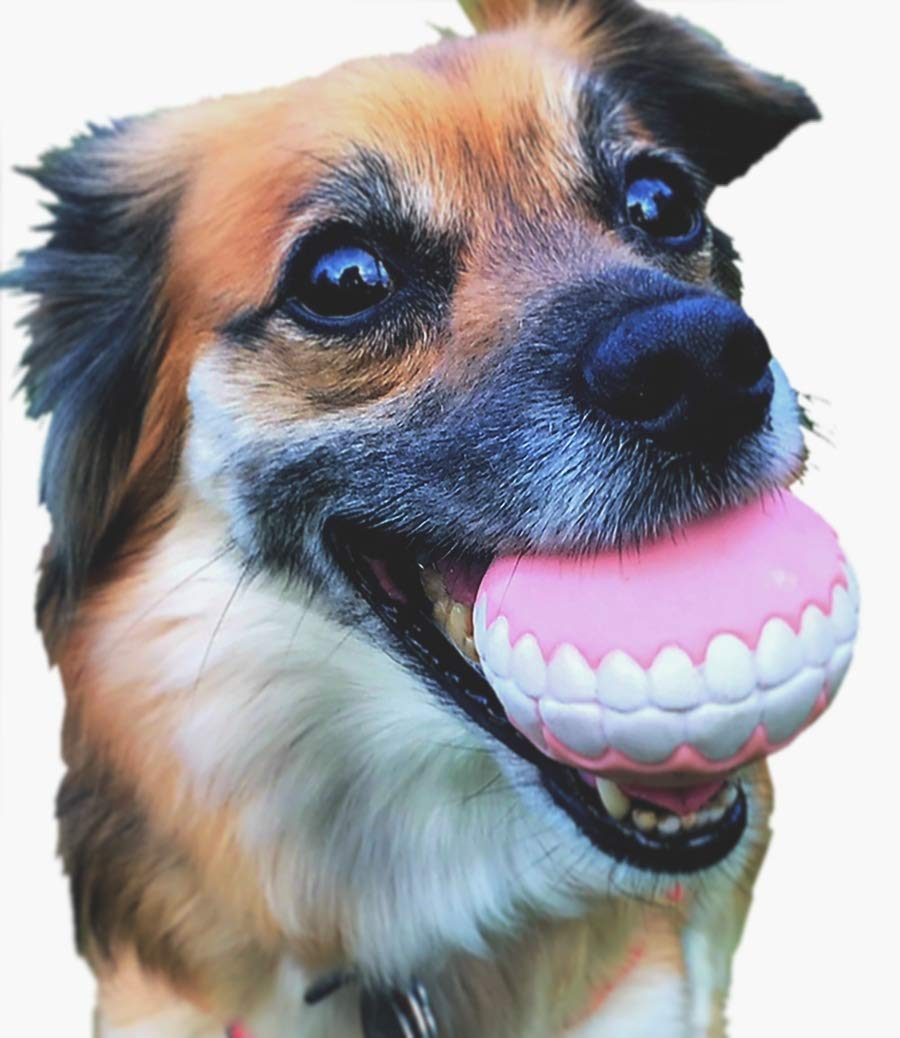 Happy Holidays Fetch Ball - Small Dogs