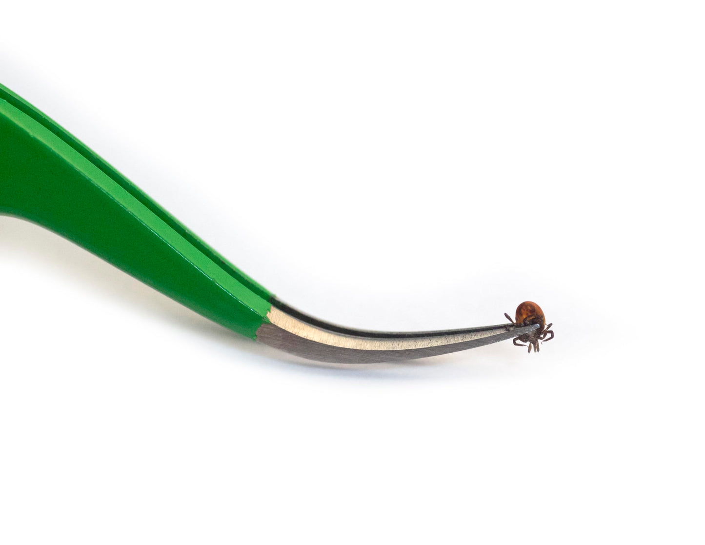 Tick Remover Kit