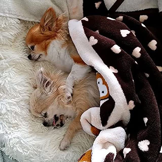 Snuggle Puppy Starter Kit - Biscuit Color