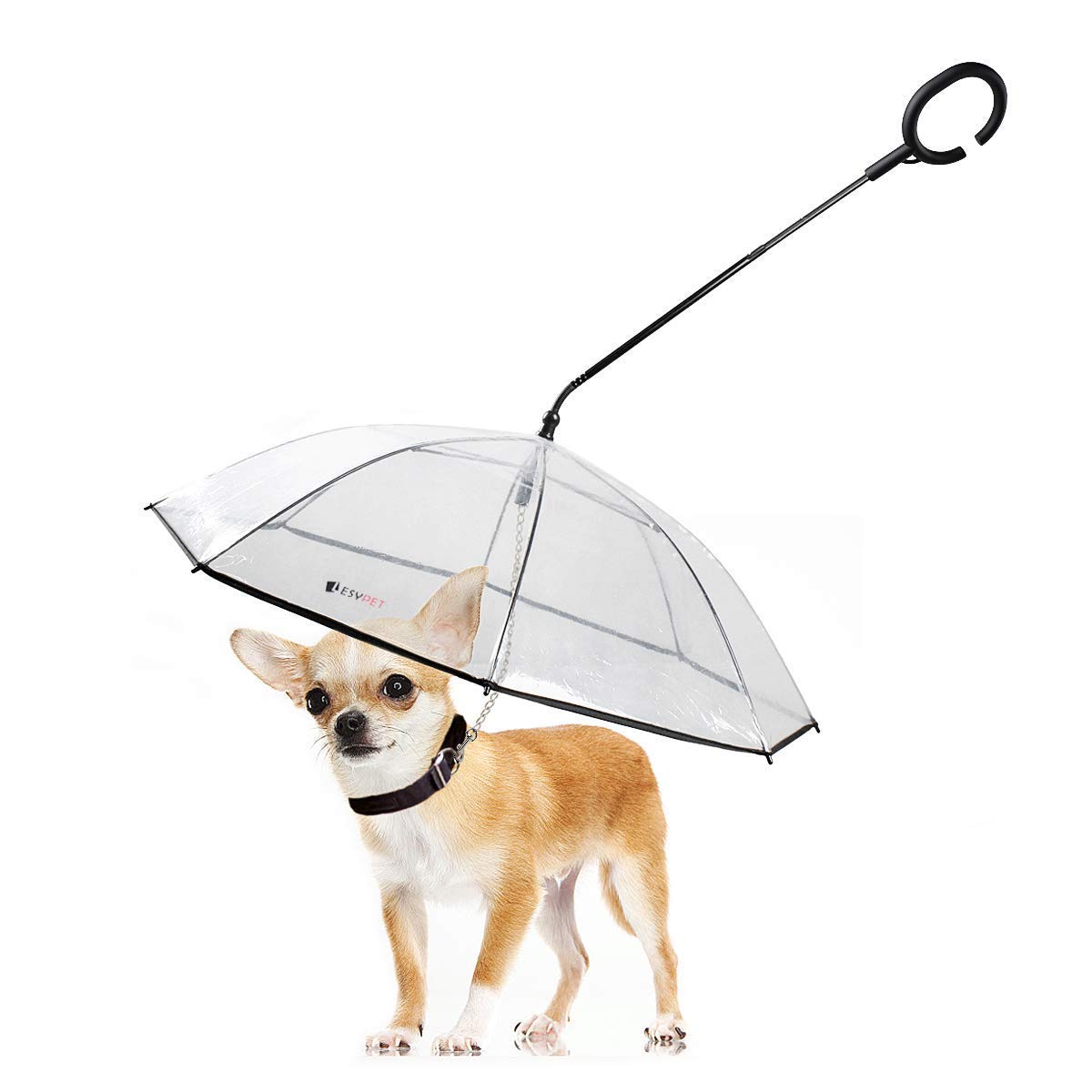 Clear Dog Umbrella with Leash - Small Pets