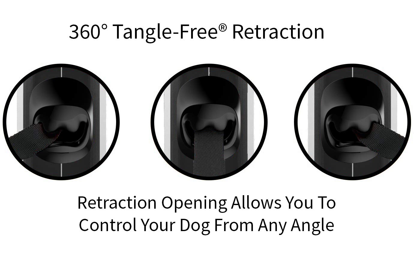 Retractable Dog Leash - 16 ft, White