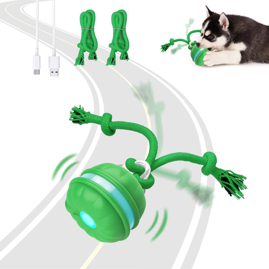 Interactive Dog Toys - Motion Activated Rolling Ball