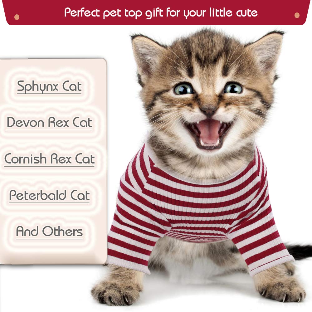 Hairless Cat Shirt - Soft & Skin-Friendly