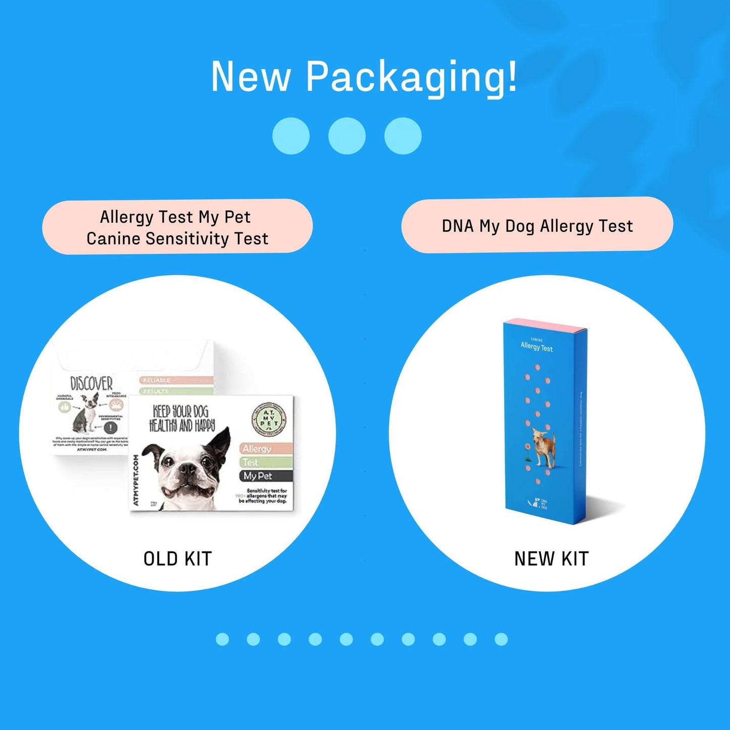 Dog Allergy Test Kit - Home Sample Collection