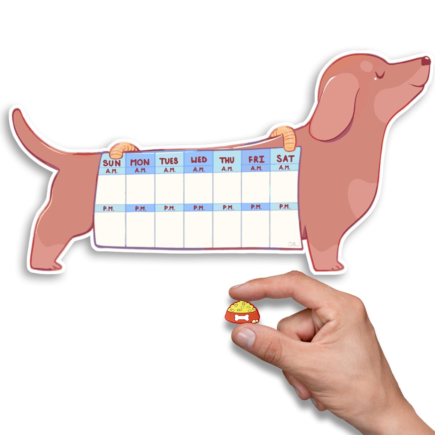 Dog Feeding Reminder Magnet - AM/PM Chart