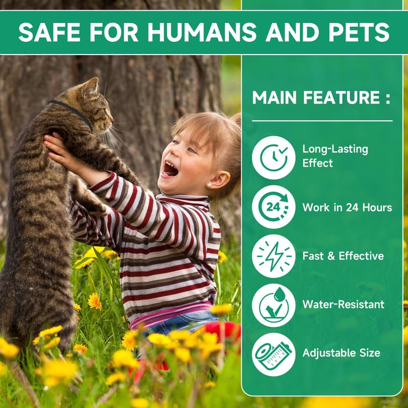 Flea and Tick Prevention for Cats