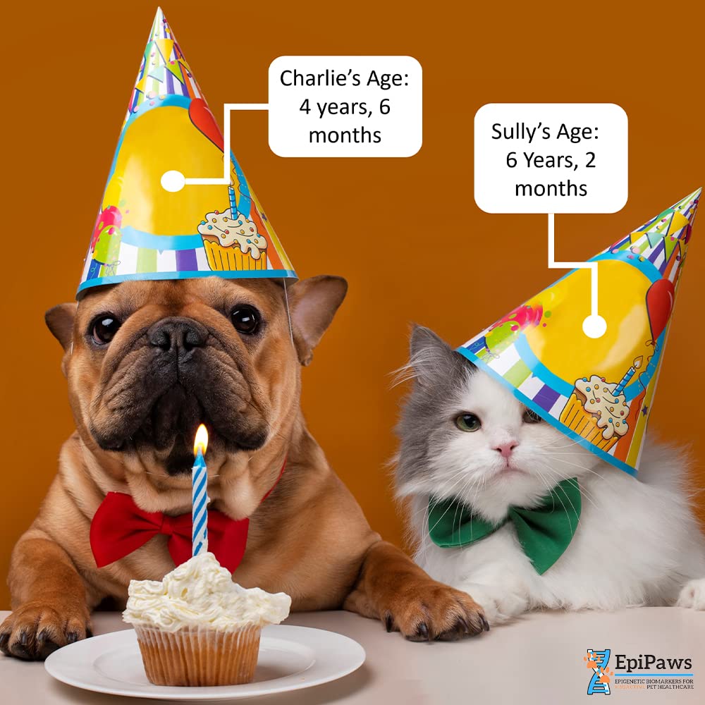 Pet Age Test Kit for Dogs and Cats