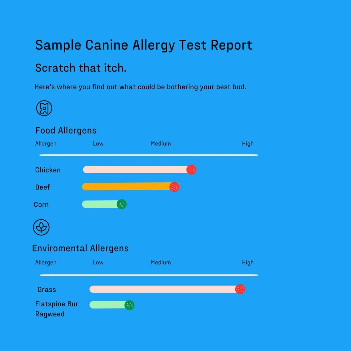 Dog Allergy Test Kit - Home Sample Collection