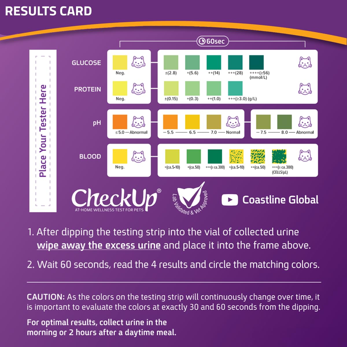 Cat Wellness Test Kit - Home Urine Collection