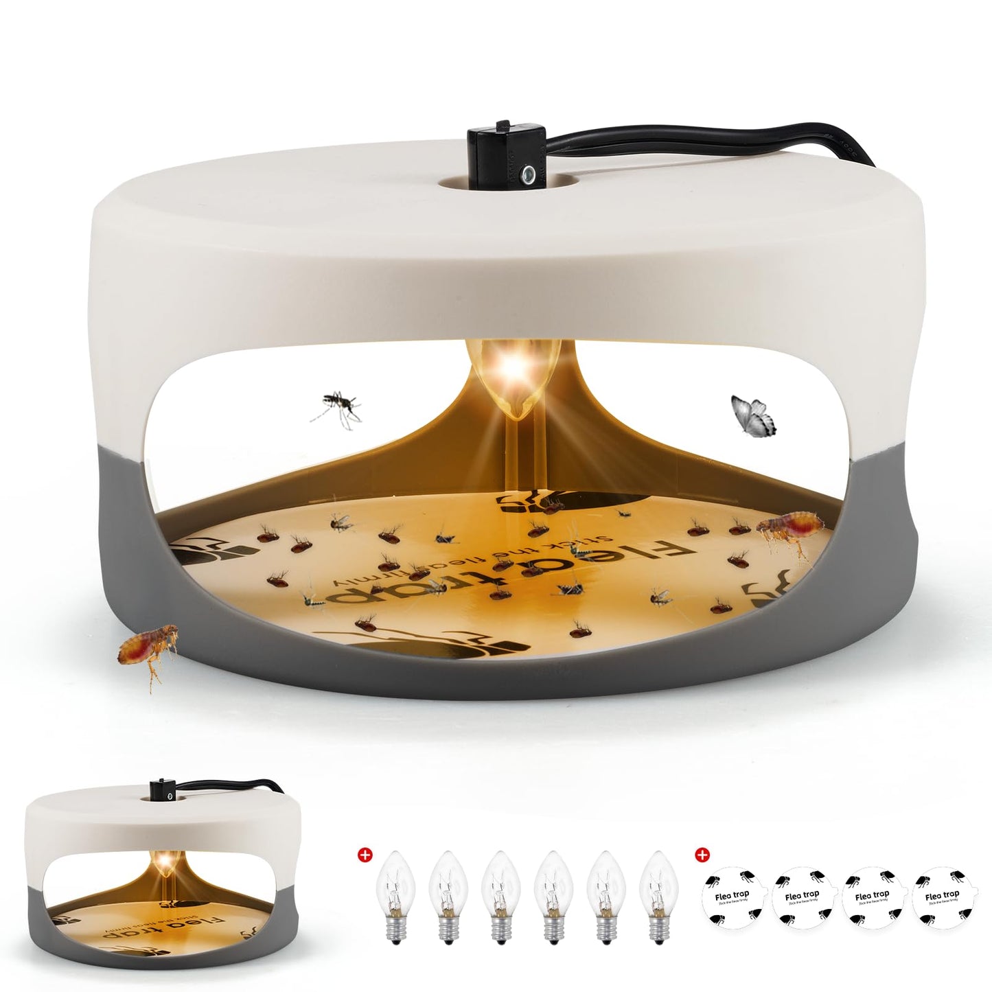 Indoor Flea Traps